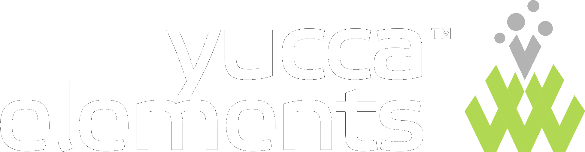 Yucca Elements | 青然新护